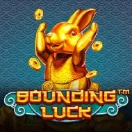 Bounding LuckBsg